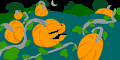Phat Pumpkin Patch by Roda & R. Hoppe